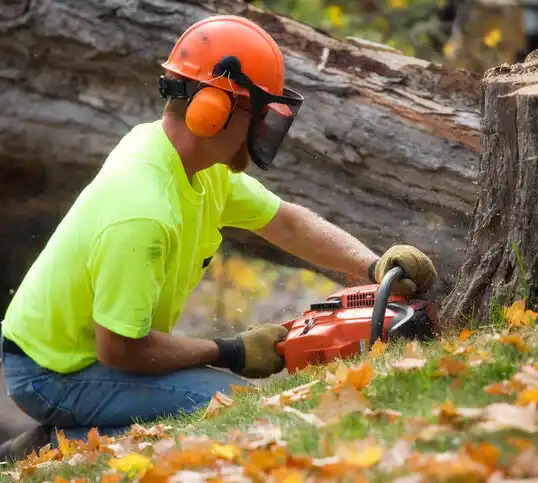 tree services Lake Linden